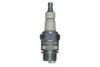 CHAMPION D9/013 Spark Plug